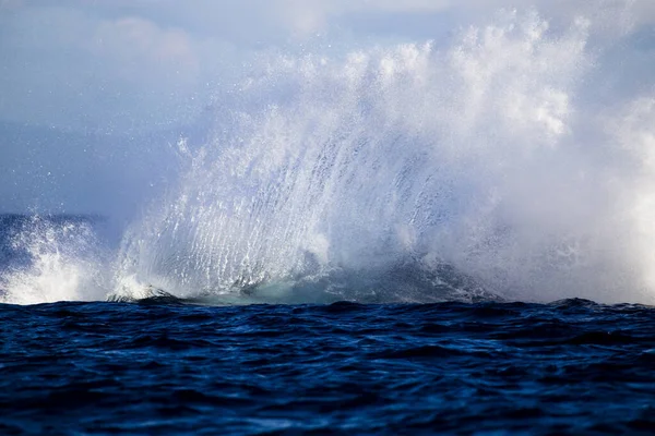 ハンプバッククジラの魅惑的な景色 マウイ島 アメリカ光の青い空と水の中に水しぶき — ストック写真