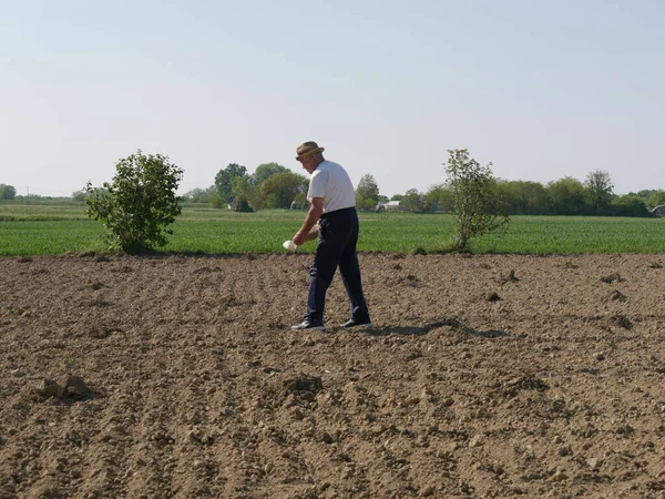 Gammal Italiensk Stark Aktiv Jordbrukare Plantera Frön Plöjning Ekologisk Jord — Stockfoto