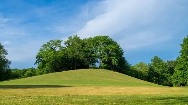 Beautiful Green Field Trees Blue Sky — Stock Photo, Image