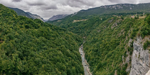 森の中を流れる川の狭いモンテネグロの緑豊かな山々の空中写真 — ストック写真