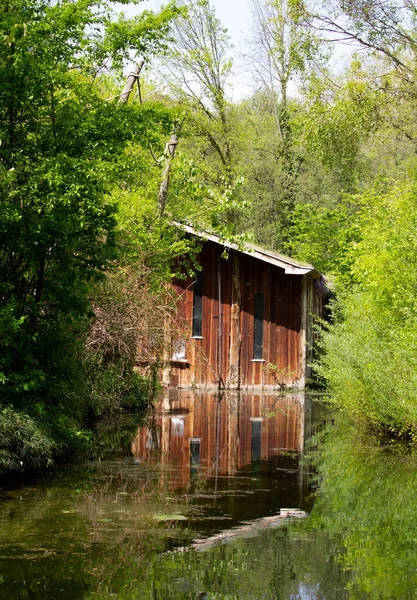 Vertical Shot Abandoned Wooden House Surrounded Trees Water — Stock Photo, Image