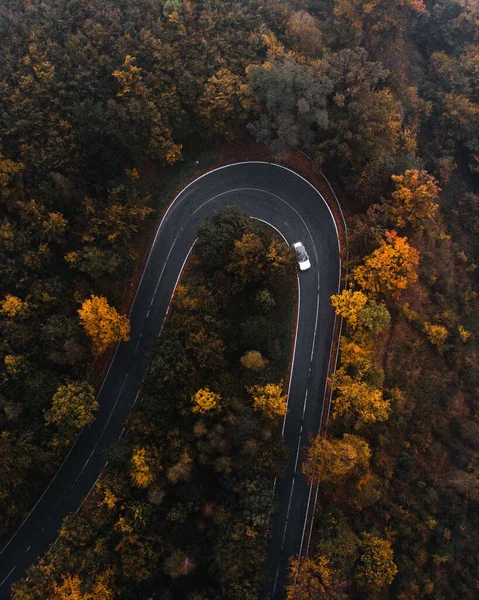Sonbahar ağaçlarıyla çevrili asfalt yolda giden bir arabanın hava görüntüsü.