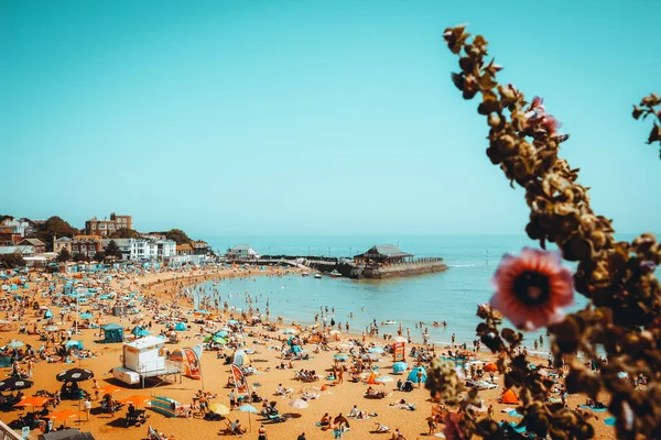 People Enjoying Time Beach Beautiful Flower Foreground — Stock Fotó