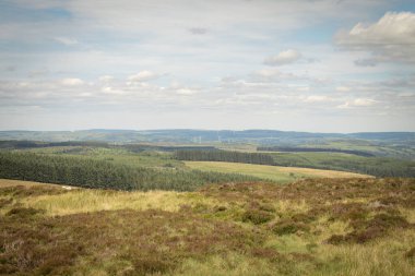 A beautiful high angle of dry grass fields in the countryside under a cloudy sky