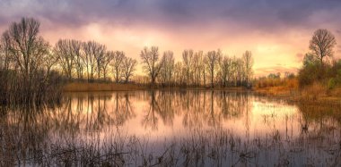 A beautiful pond with bare trees at sunset near the Ohio River