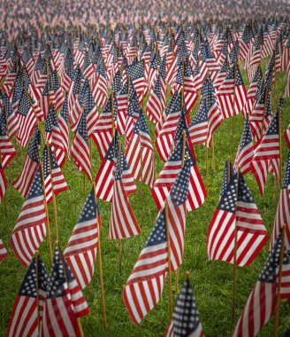 Düşen kahramanların anısına Amerikan bayraklarının güzel bir manzarası.
