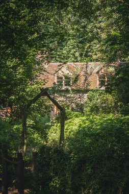 Bir evin önündeki ağaçlar ve çalılarla çevrili yeşil bir bahçenin güzel manzarası.