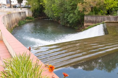 Güneşli bir günde parktaki küçük şelalelerin güzel manzarası.