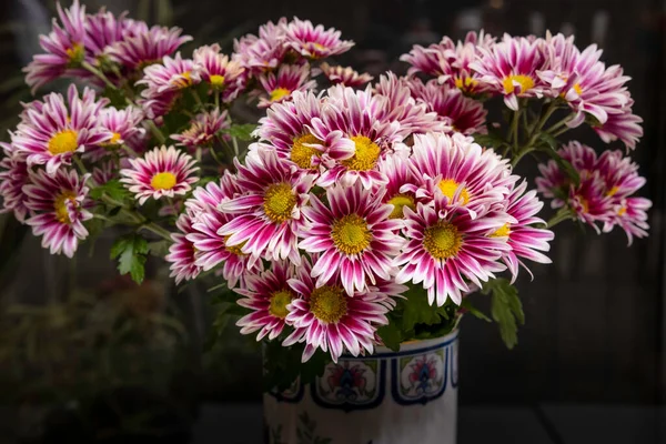 Closeup Shot Colorful Chrysanthemums Vase — Stock Photo, Image