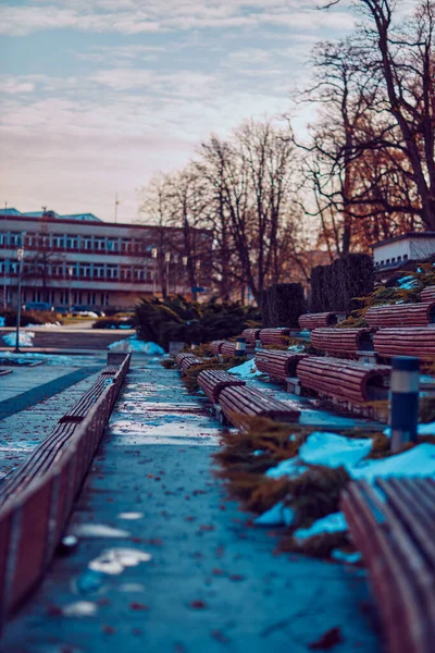 Vertical Shot Park Benches Rows Bare Trees Building Background — Foto Stock