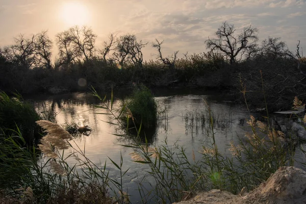 Krásný Výhled Jezero Tekoucí Lese Při Západu Slunce — Stock fotografie