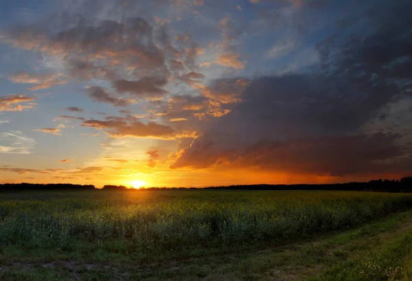 Eine Atemberaubende Wolkenlandschaft Bei Sonnenuntergang Mit Der Strahlenden Sonne Hintergrund — Stockfoto