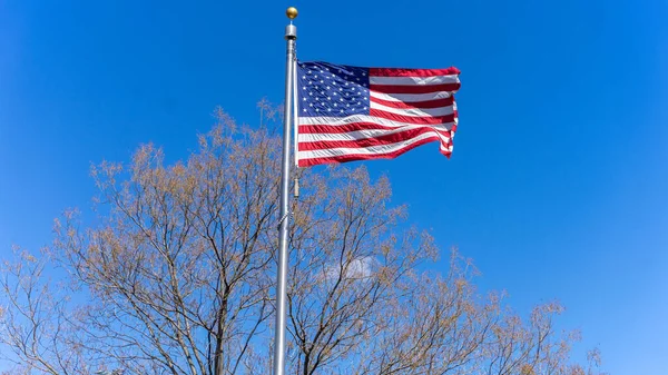 American Flag Waving Breeze Background Tree Branches Blue Bright Sky — Stock Photo, Image