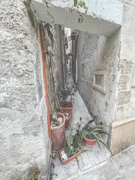 Een Verticaal Schot Van Een Smalle Straat Vol Planten Potten — Stockfoto