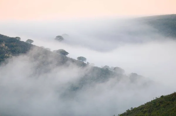 Утренний Туман Средиземноморском Пейзаже Эстремадуре Испания — стоковое фото