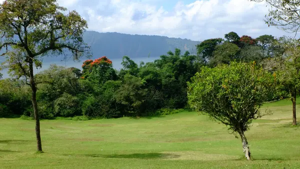 Brillante Día Verano Aire Libre Campo Con Una Frondosa Vegetación — Foto de Stock