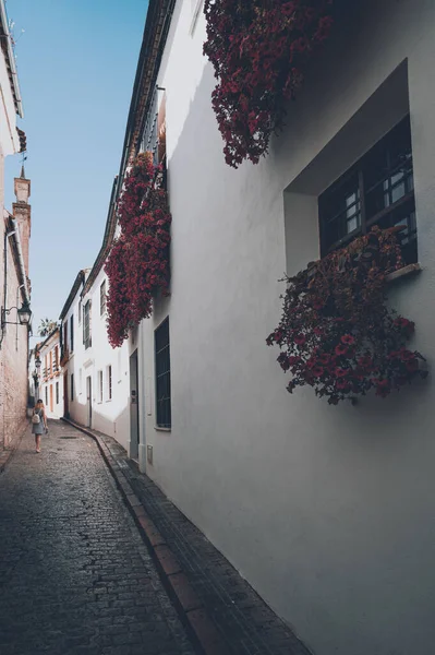 Vertical Shot White Wall Red Flowers Blue Sky Cordoba Spain — Stock Photo, Image