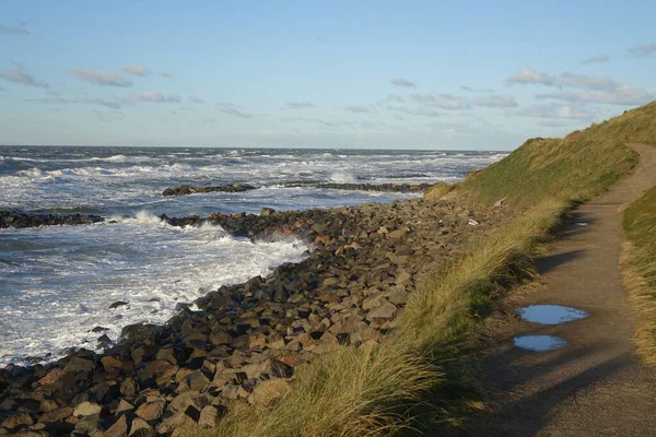 Beautiful Shot Rocky Beach Daytime — Stock Photo, Image