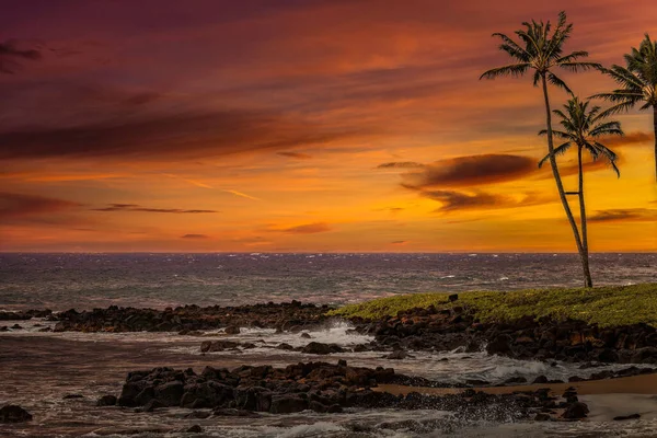 Rocky Shoreline Kauai Hawaii Bright Orange Sunset Several Palm Trees — Stock Photo, Image