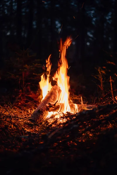 Μια Κάθετη Βολή Φωτιάς Στο Δάσος — Φωτογραφία Αρχείου
