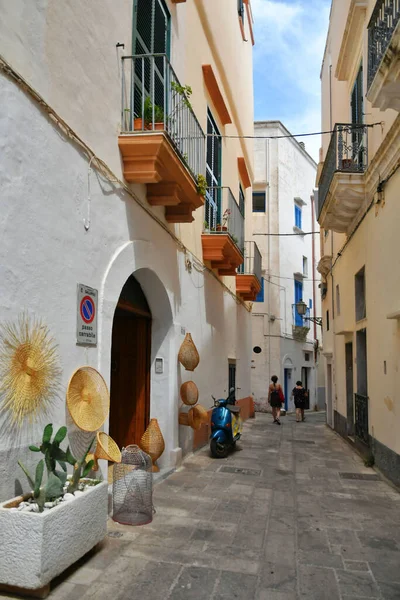 Une Rue Étroite Entre Les Vieilles Maisons Gallipoli Vieux Village — Photo