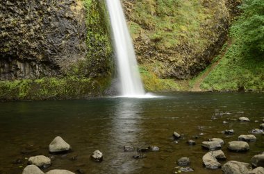 Ormandaki yosunlu kayaların üzerinden akan şelalenin büyüleyici görüntüsü.