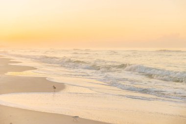 Fort Morgan, Alabama 'da gün batımında deniz manzaralı bir kumsal manzarası.