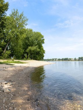 Ormanın yakınındaki güzel bir denizin dikey görüntüsü.