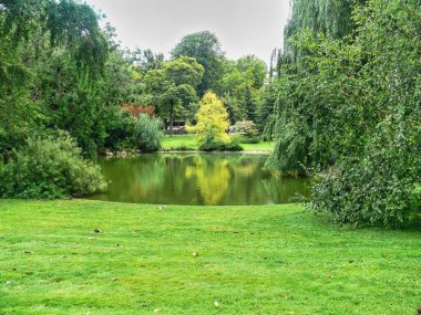 Bulutlu bir günde, ormanın yakınında güzel bir göl manzarası.