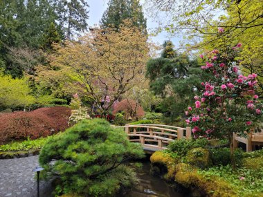 Victoria, British Columbia, Kanada 'da güneşli bir günde tarihi Butchart bahçesinin içindeki Japon bahçesinin güzel bir manzarası.