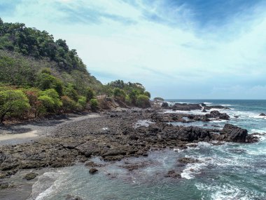 Kosta Rika 'da kayalık sahil kenarında güzel bir ağaç manzarası.