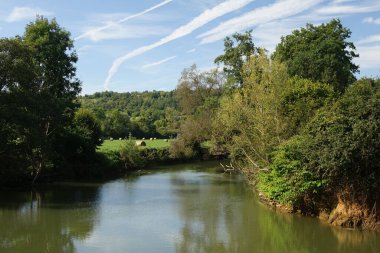 Lorraine, Fransa 'da göl kenarındaki güzel bir ormanın hava manzarası.