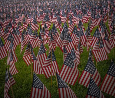 Düşen kahramanların anısına Amerikan bayraklarının güzel bir manzarası.