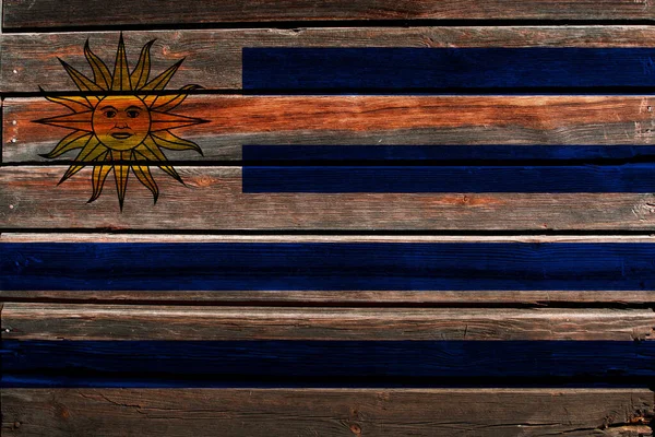 Flag Uruguay Wood Wall Background — Stock Photo, Image