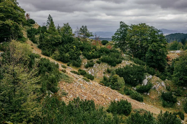 Prachtige Natuur Van Montenegro Bergen — Stockfoto