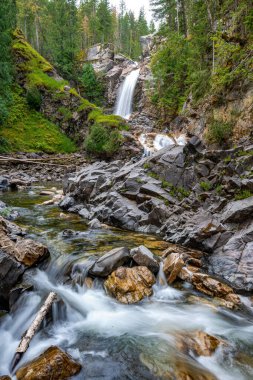 Ormandaki güzel şelalenin dikey görüntüsü.