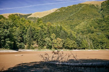 Karadağ 'da güneşli bir günde yeşil ormanlarla kaplı bir tepenin manzarası