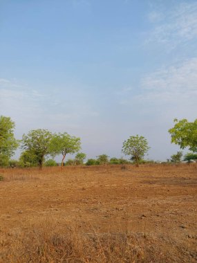 Rathya 'nın Aşk Tutkusu, Mobil Fotoğrafçılık, Tutkulu Tıkırtılar, Hintli çiftçi, Bisikletçi Çocuklar.