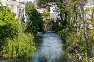 Santarem, Portekiz 'in eski kenti Torres Novas' taki Almonda Nehri 'nin doğal manzarası.
