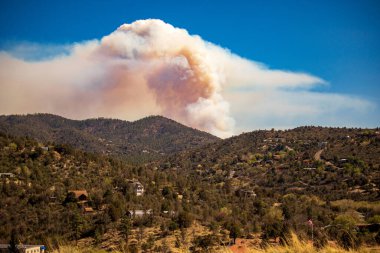 An aerial view of green forests on mountains on a sunny morning