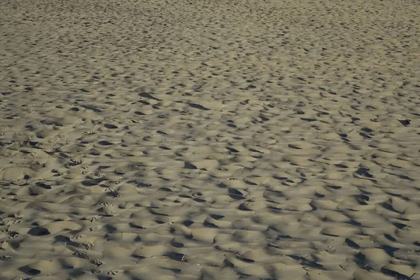 Spår Och Fotspår Nordsjön Stranden Sand Skymningen Användning Bakgrund Kopiera — Stockfoto