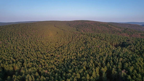 Bird Eye View Hills Covered Forests Sunny Day Bavaria Germany —  Fotos de Stock