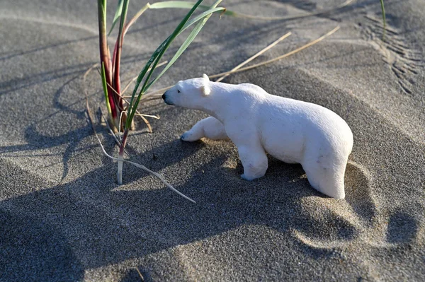 Пластиковий Полярний Ведмідь Прокидається Пляжі — стокове фото