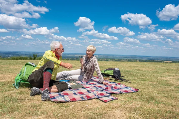 Couple Having Picnic Field Daytime —  Fotos de Stock