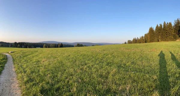 Panoramic Shot Grass Field —  Fotos de Stock