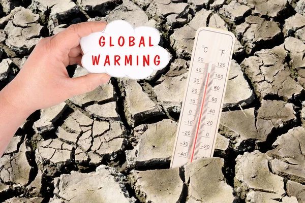 Dry Earth Thermometer Global Warming Climate Change Concept Environmental Discussion — Stock Photo, Image