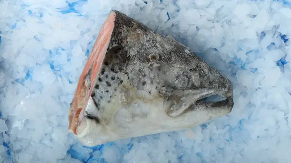 Closeup Raw Salmon Fish Head Ice Making Delicious Seafood — Stock Photo, Image