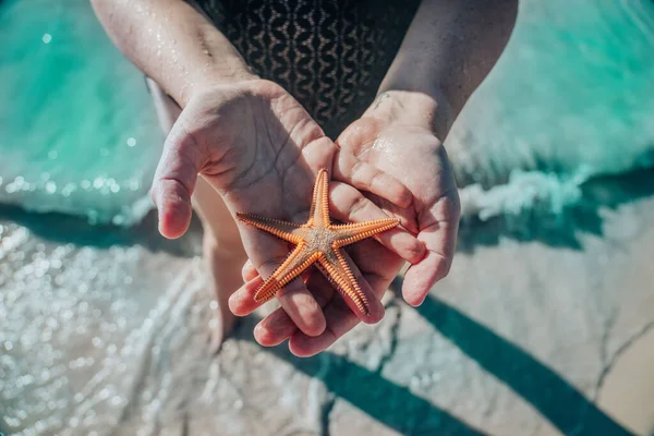 一只橙色的海星 在女人的手里 背靠着海岸 — 图库照片
