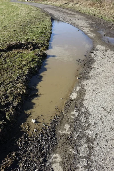 Dirty water puddle between detoriated tarmac trail and green meadow, Ruckersfeld, NRW, Germany