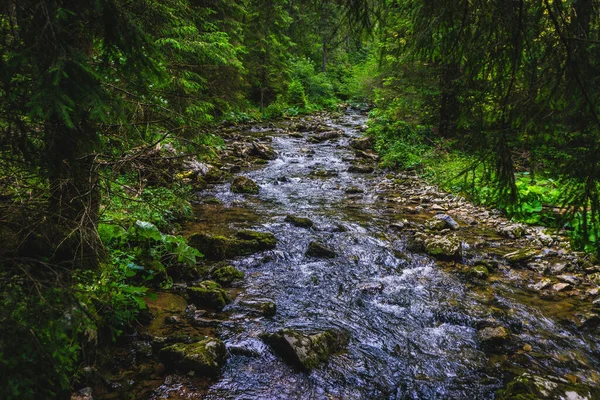 Vacker Utsikt Över Grund Flod Som Passerar Genom Apuseni Bergen — Stockfoto